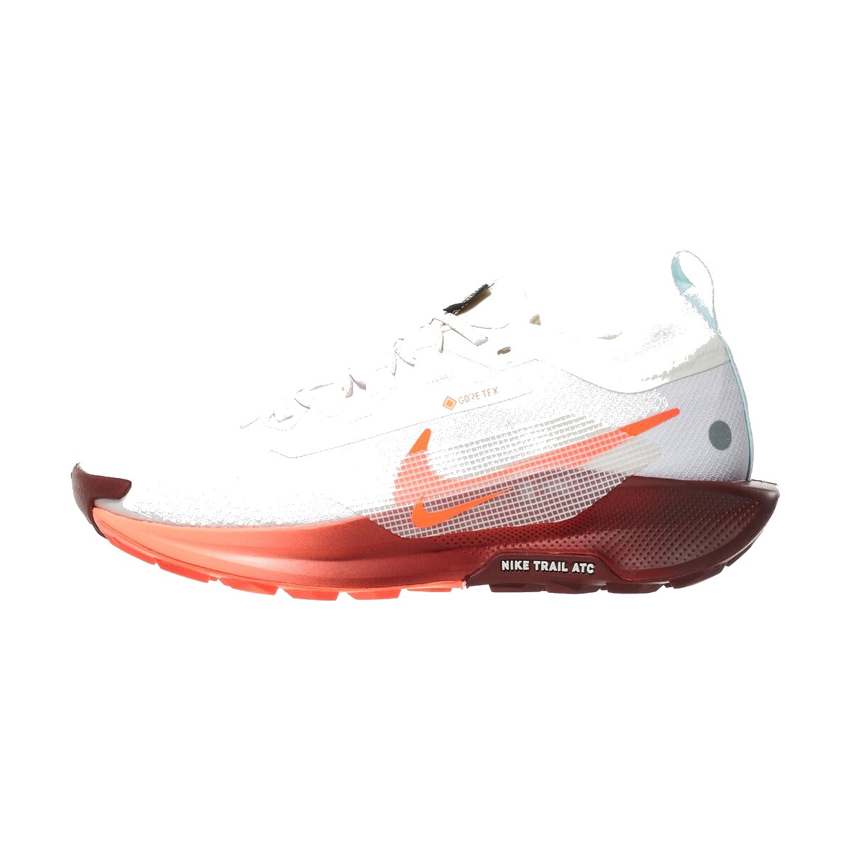 Nike Pegasus Trail 5 GTX - Men