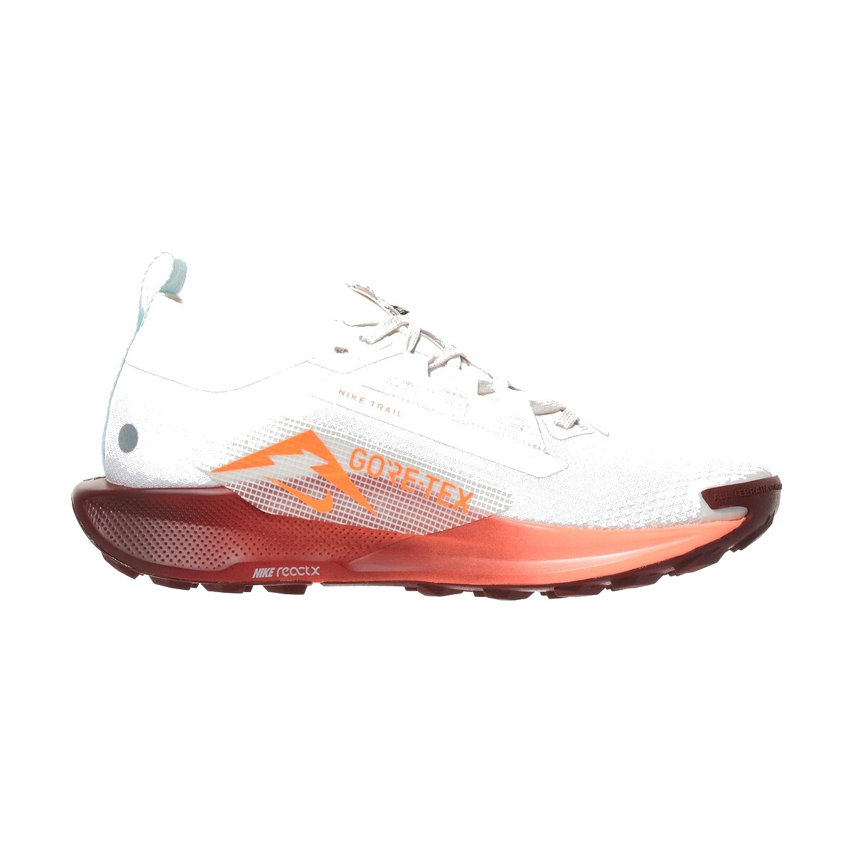 Nike Pegasus Trail 5 GTX - Men