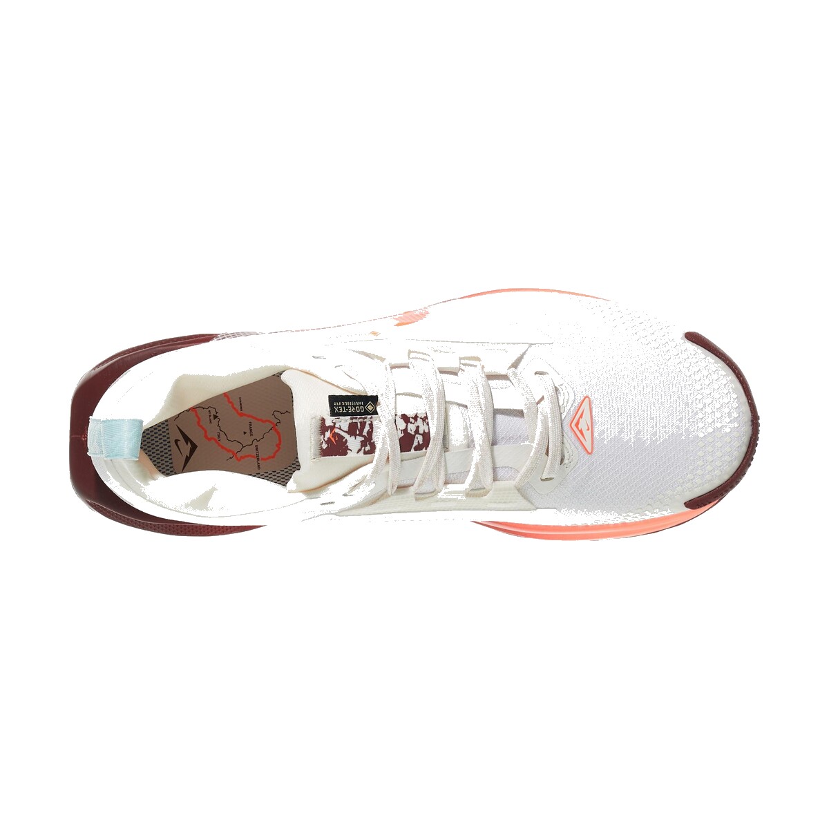 Nike Pegasus Trail 5 GTX - Men